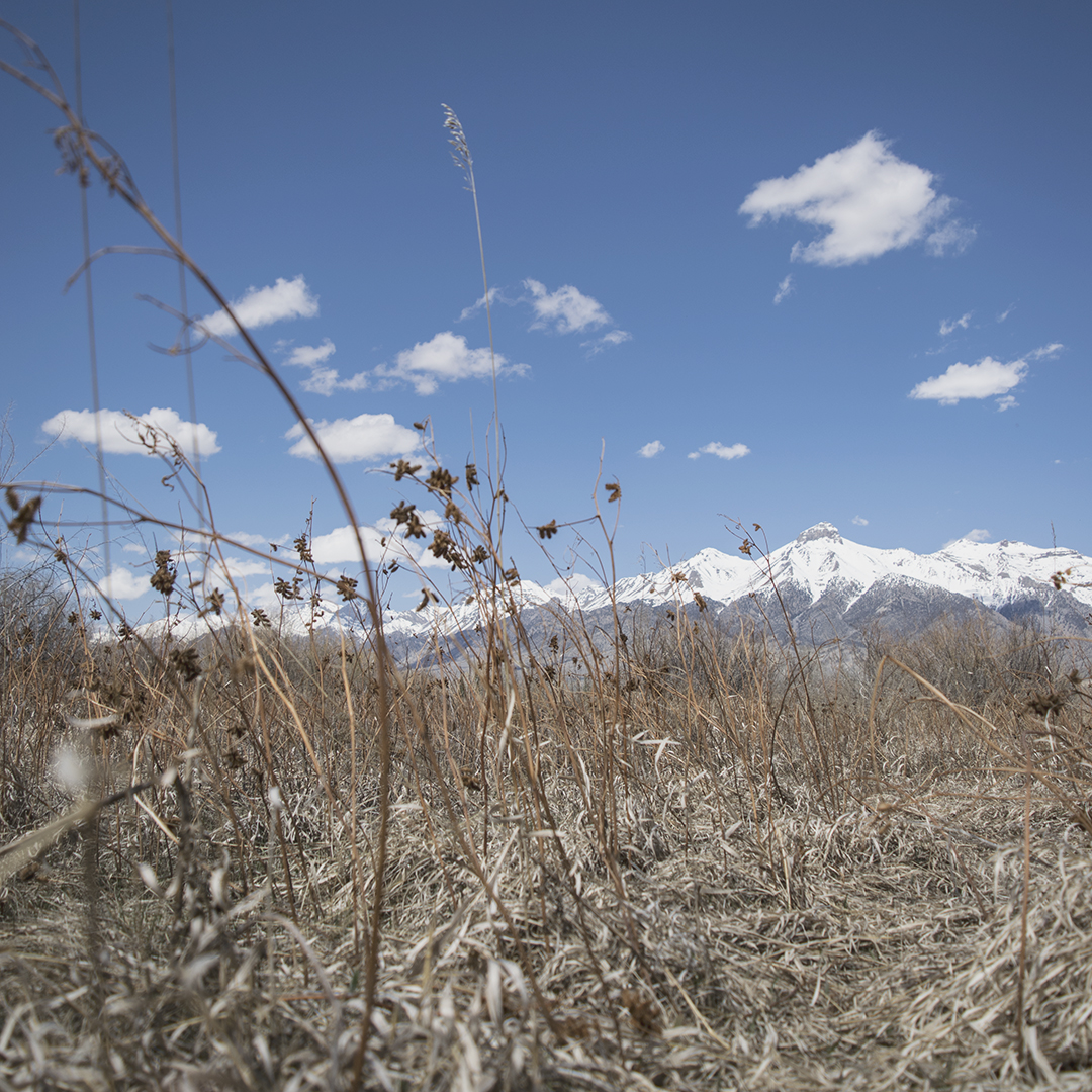 lost river range spring 2018